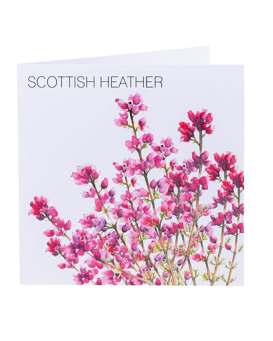 Scottish Heather Card by Clare Baird