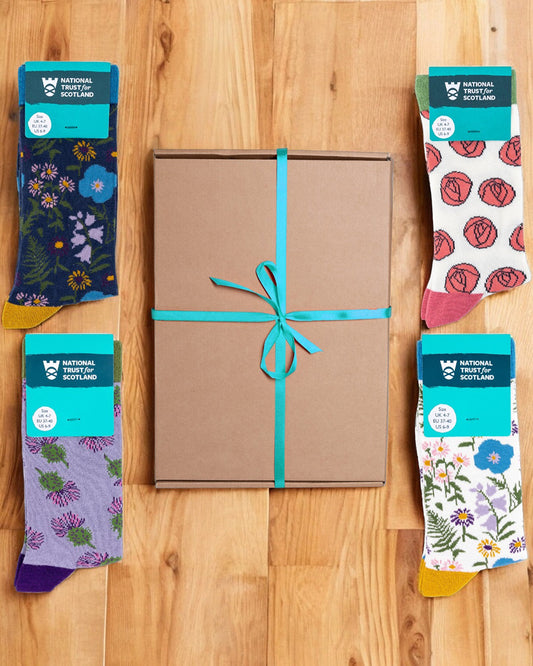 Small Socks Gift Box 4 Pairs Collection 2