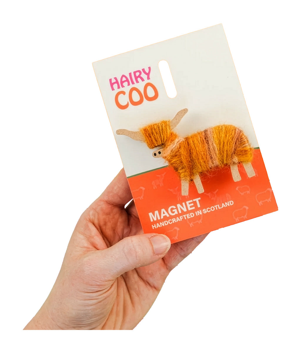 Hand holding a 'Hairy Coo' magnet packaging with colourful yarn design on a white background