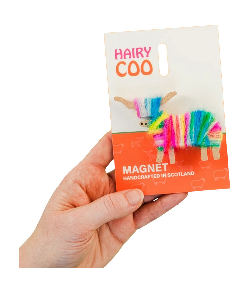 Hand holding a 'Hairy Coo' magnet packaging with colourful yarn design on a white background