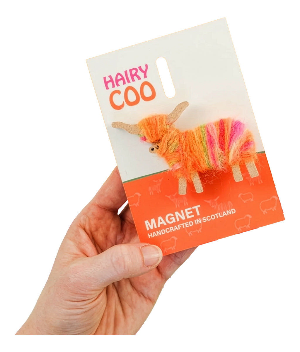 Hand holding a 'Hairy Coo' magnet packaging with colourful yarn design on a white background