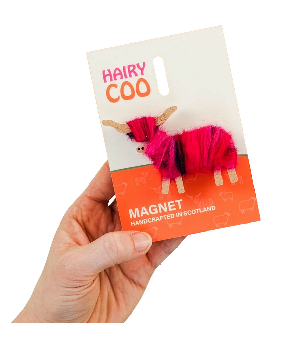 Hand holding a 'Hairy Coo' magnet packaging with colourful yarn design on a white background