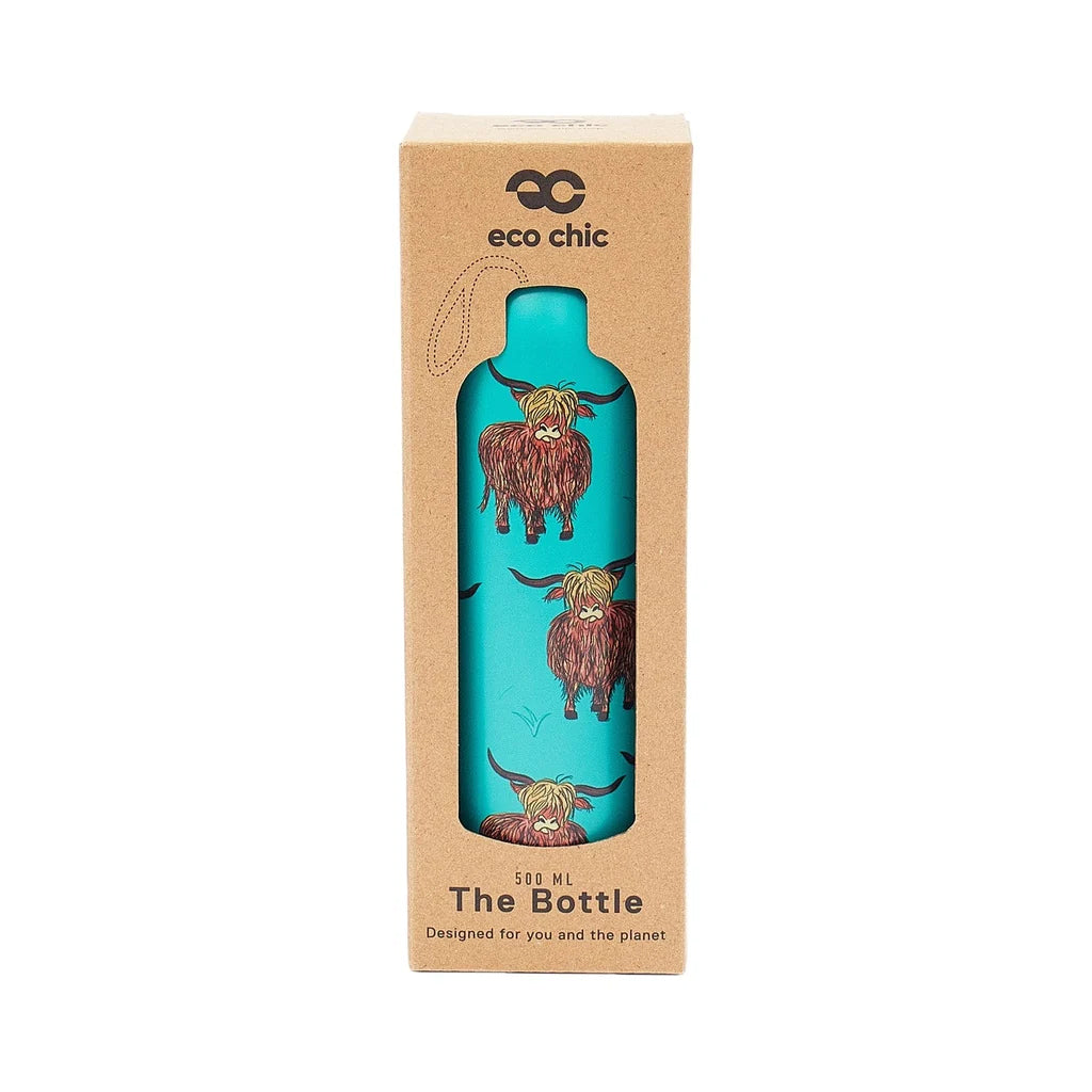 A turquoise water bottle with a Highland cow pattern, presented inside its brown kraft paper packaging box by the brand 'eco chic'.