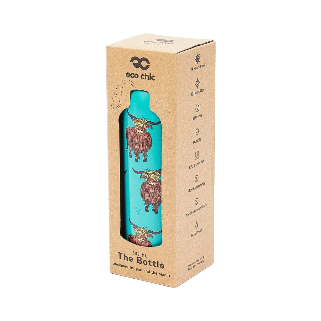 A turquoise insulated water bottle with a cartoon Highland cow illustration, shown inside its brown kraft paper packaging box. The box features the brand name 'eco chic' and product details.