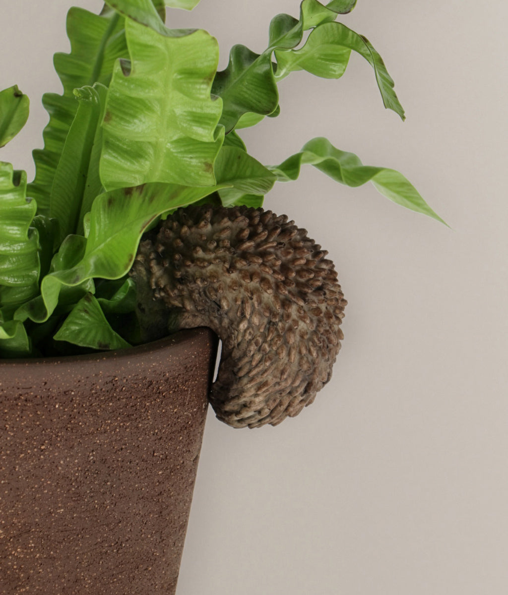 Potted plant with a hedgehog pot hanger against a plain background