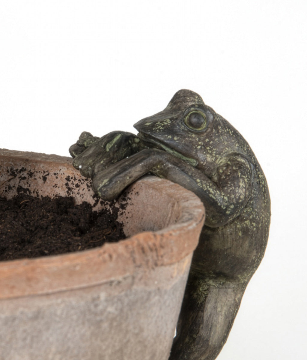 Decorative frog pot hanger on a pot with a white background