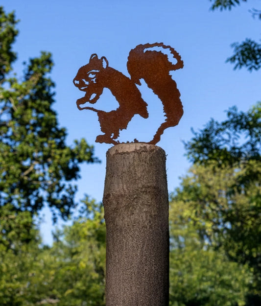 Squirrel Fence Topper
