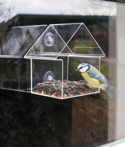 Bird Window House Feeder
