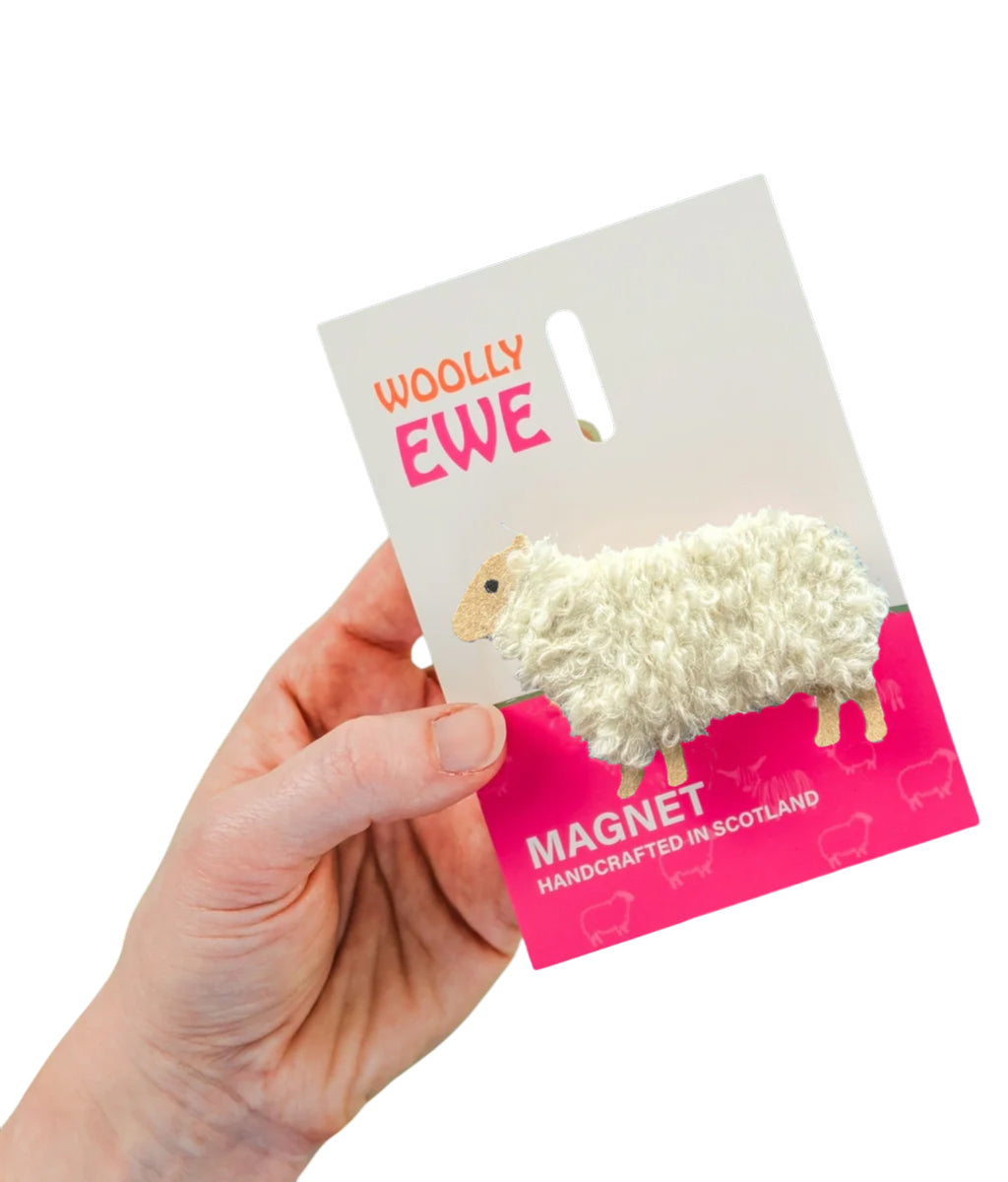 Hand holding a 'Woolly Ewe' magnet packaging with a fluffy sheep magnet on a white background.