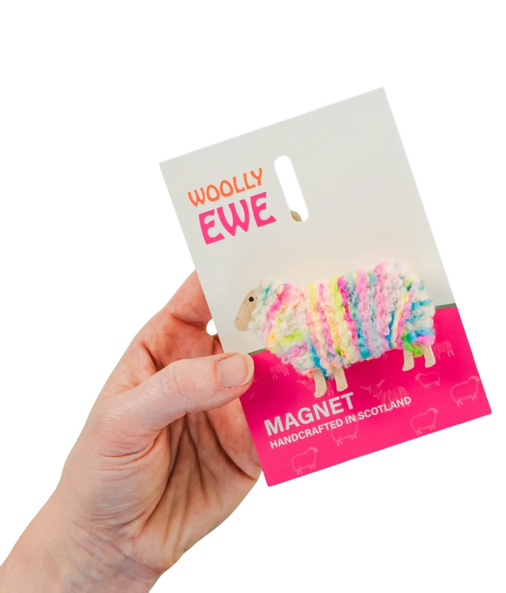Hand holding a 'Woolly Ewe' magnet packaging with colorful sheep illustration on a white background