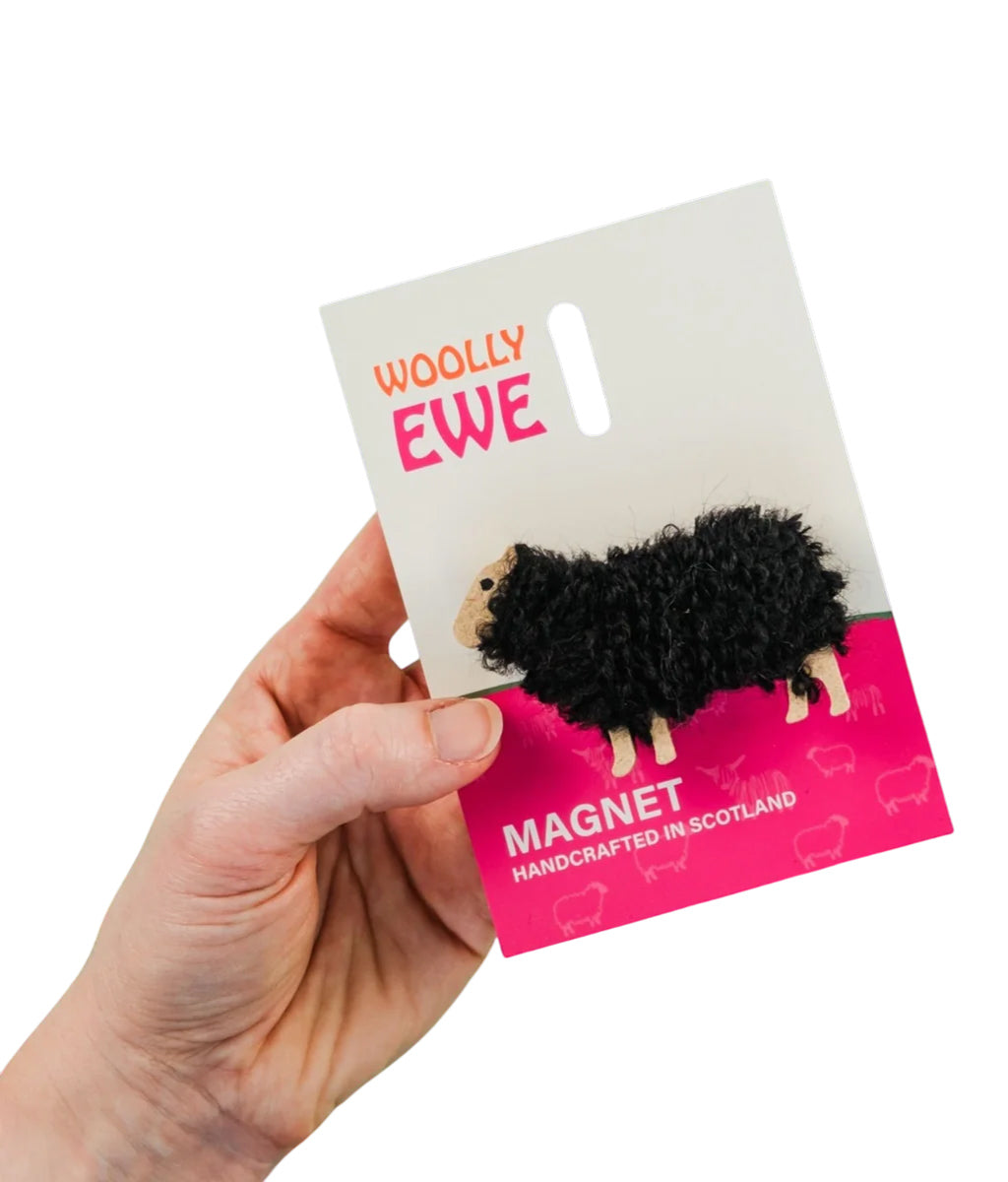 Hand holding a 'Woolly Ewe' magnet packaging with a black sheep design on a white background.