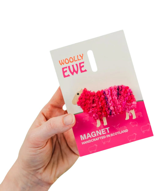 Hand holding a 'Woolly Ewe' magnet packaging with pink and red yarn balls on a white background.