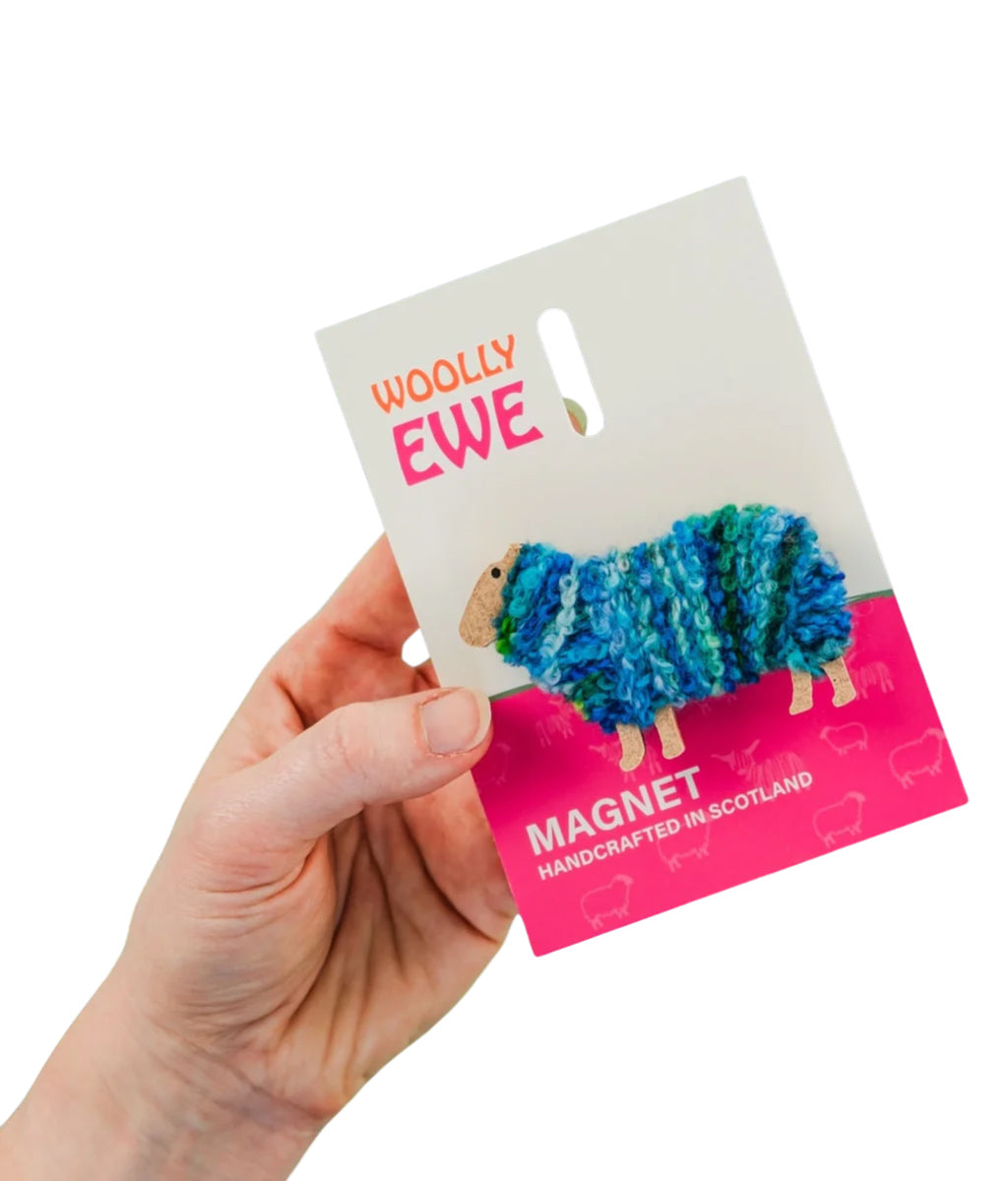 Hand holding a 'Woolly Ewe' magnet packaging with a blue and green magnet on a white background.