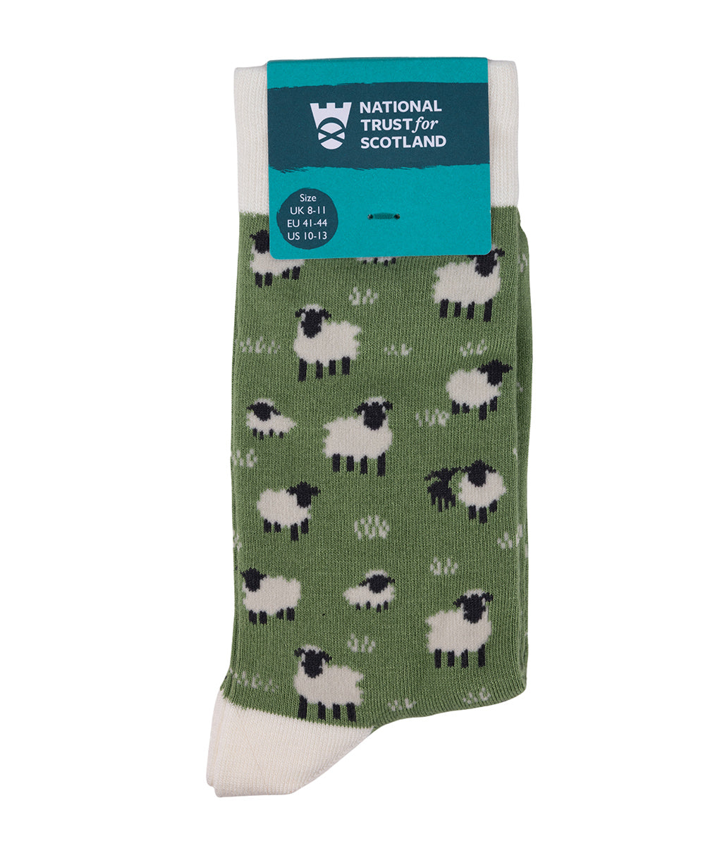 Green sock with sheep pattern and National Trust for Scotland label on a white background