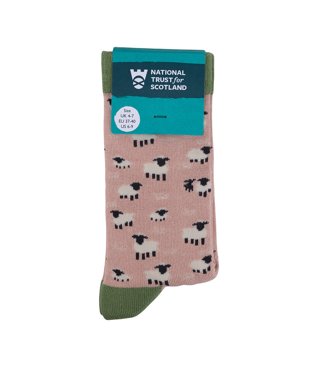 Sock with sheep pattern and National Trust for Scotland packaging on a white background