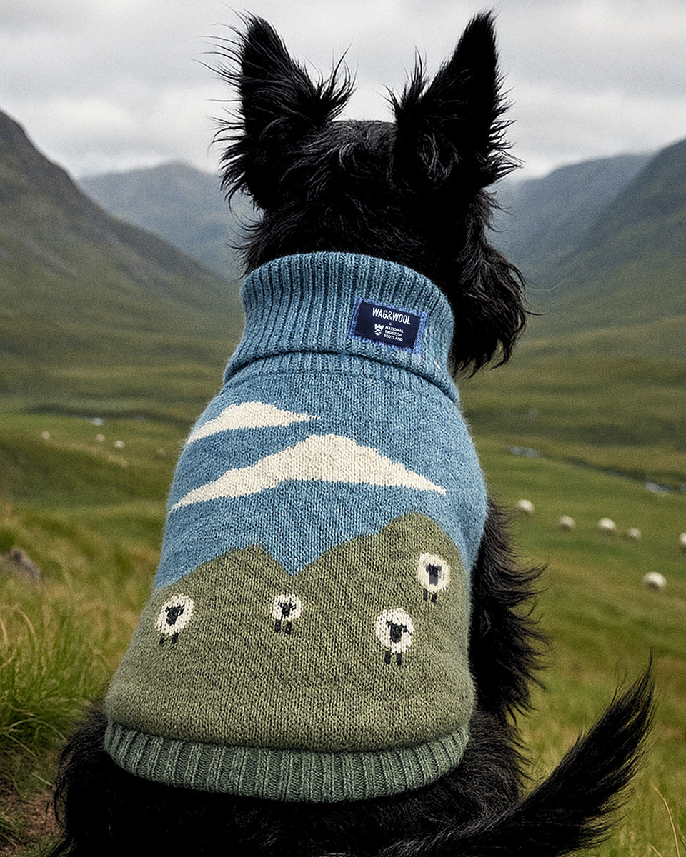 Wag & Wool Blackface Sheep Wool Dog Jumper