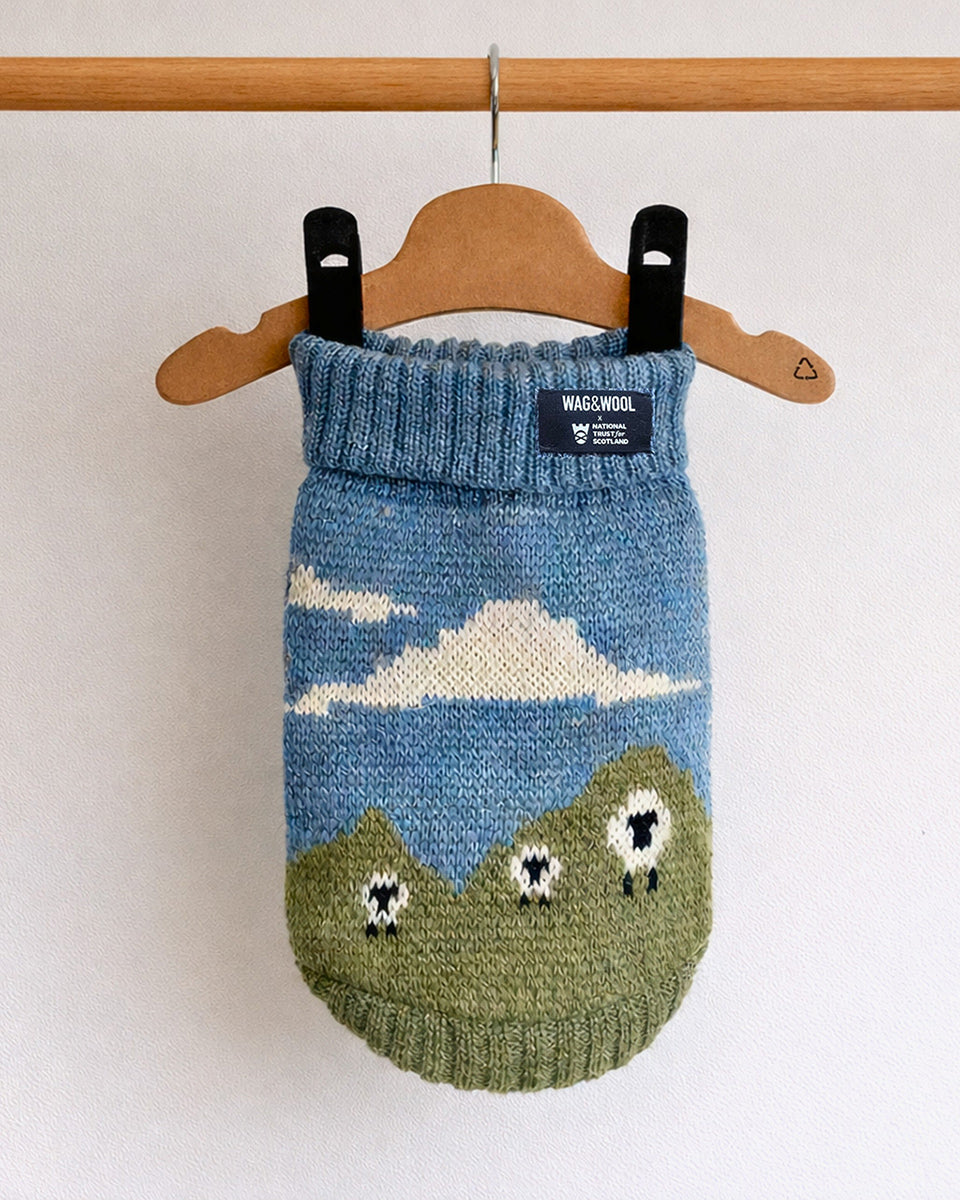 Wag & Wool Blackface Sheep Wool Dog Jumper