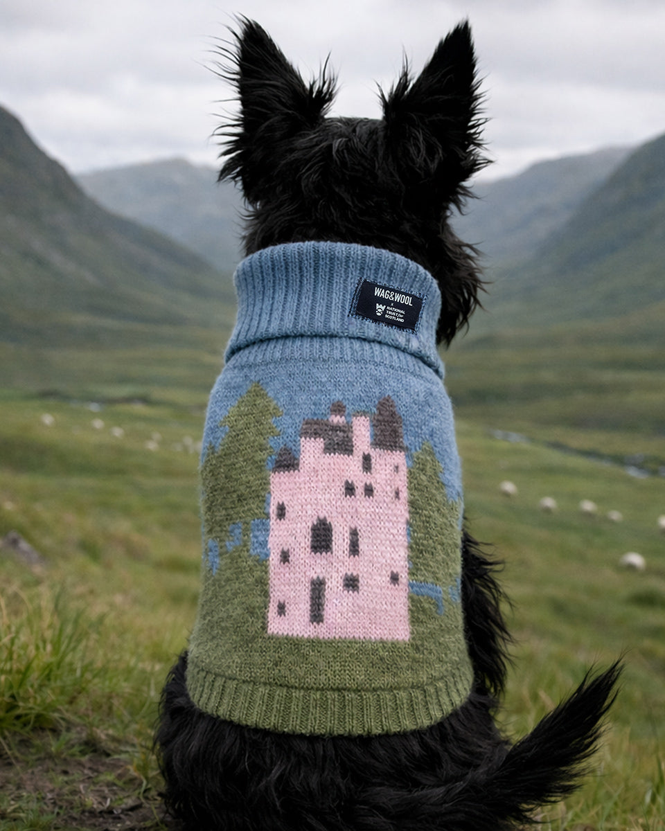 Dog wearing a sweater with a castle design in a scenic landscape