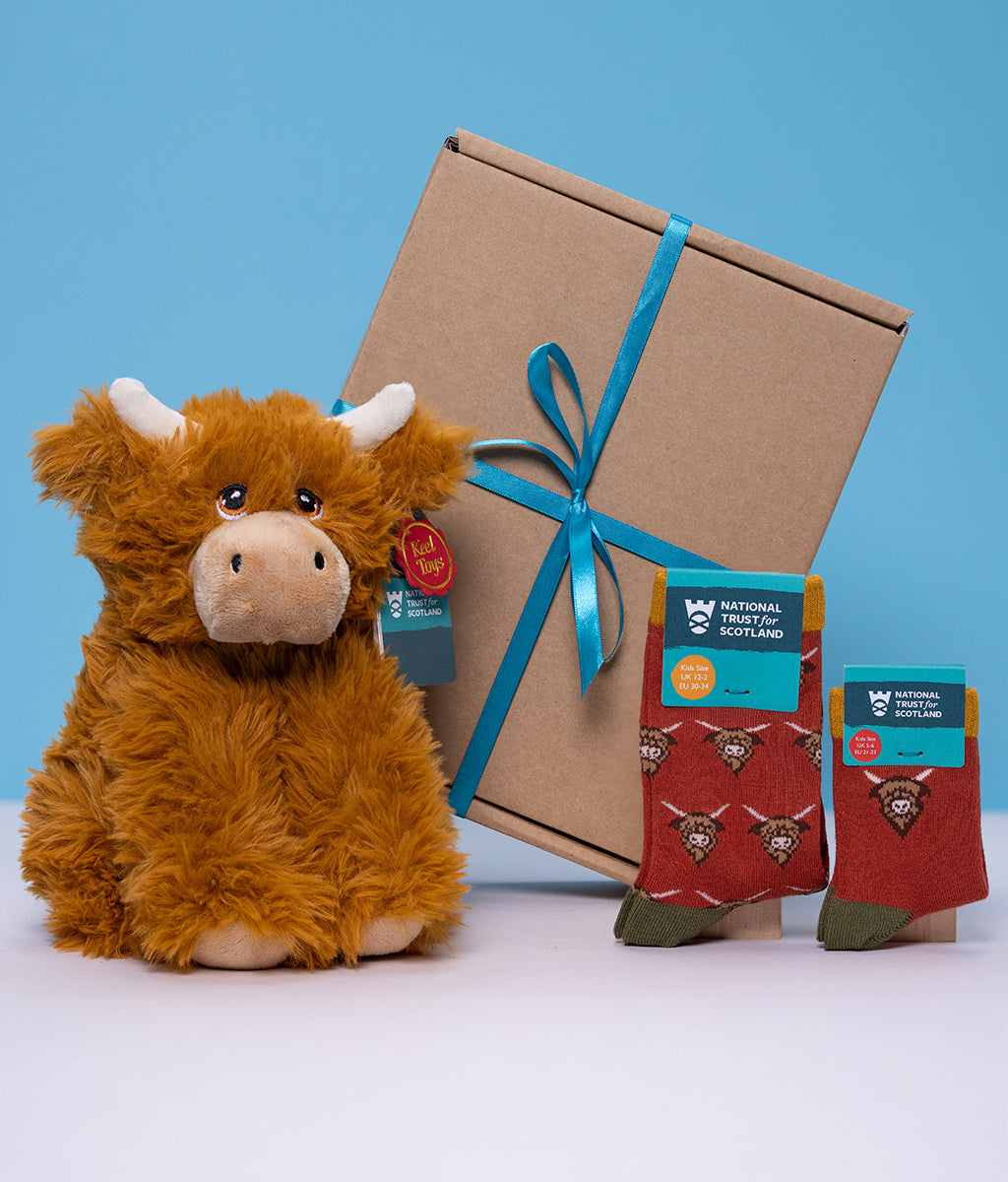 Plush Highland cow toy with a cardboard box and Highland cow socks on a blue background