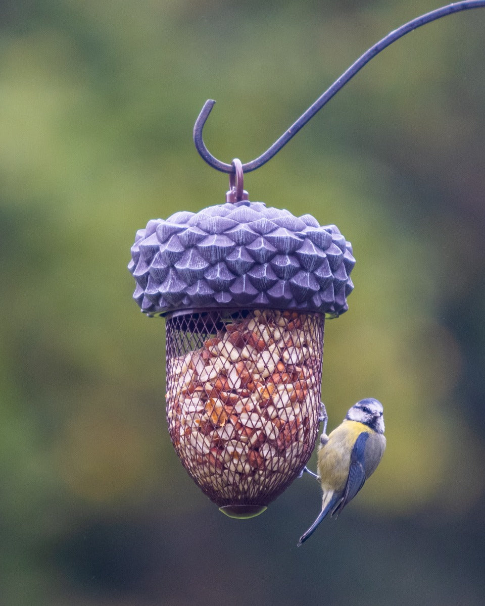 Acorn Bird Feeder