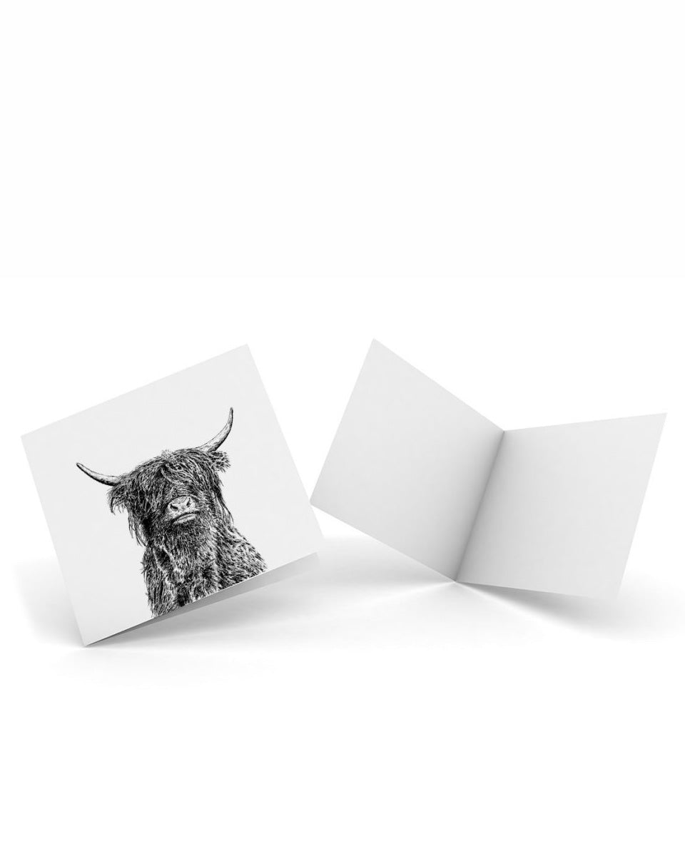 Curious Coo 4 Pk of Notecards