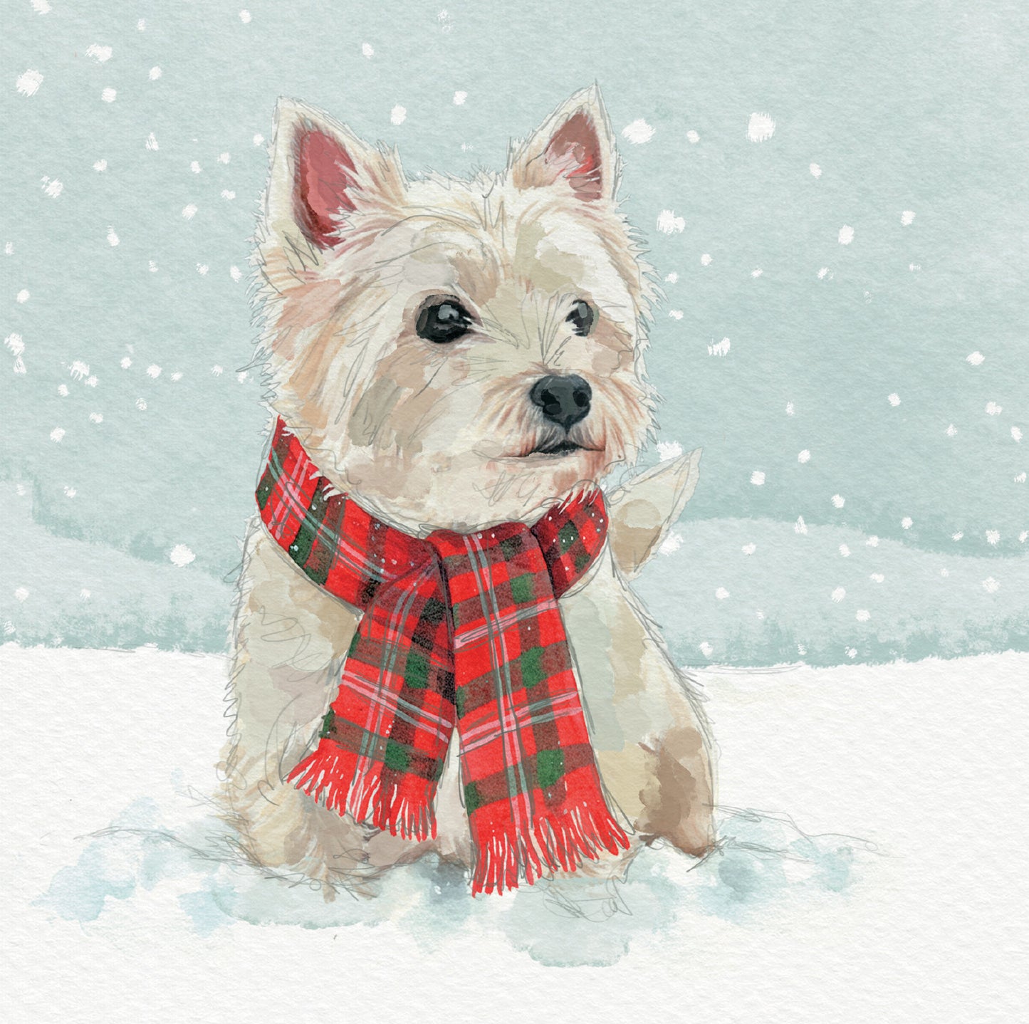 Westie Wrapped Up Christmas Cards Pack of – National Trust for