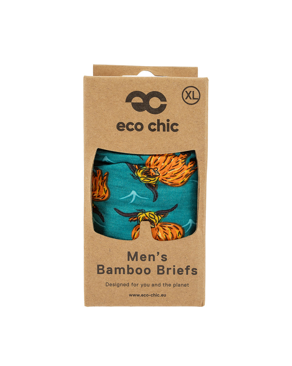 Eco-Chic Eco Friendly Men's Bamboo Boxers Highland Cow