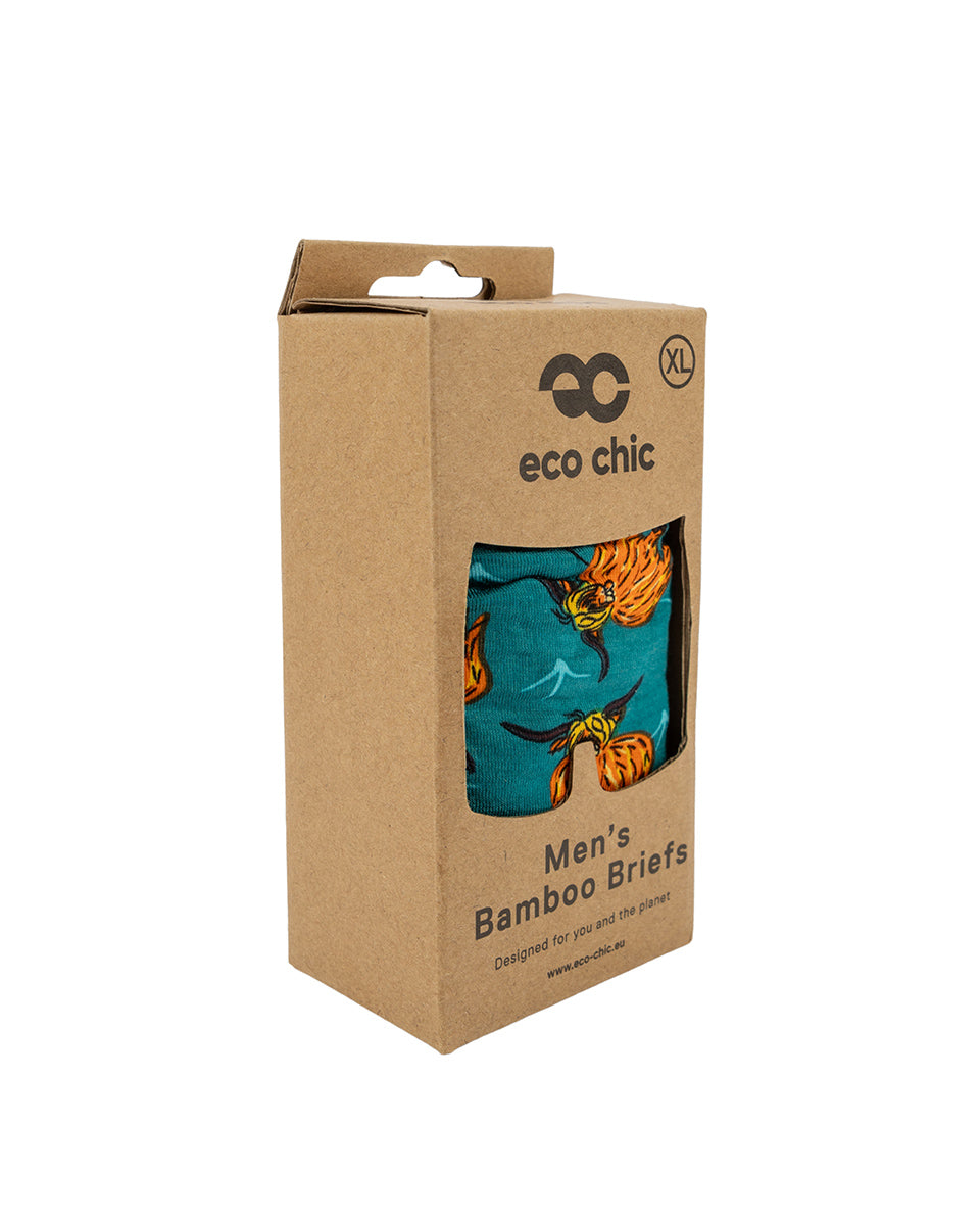 Eco-Chic Eco Friendly Men's Bamboo Boxers Highland Cow