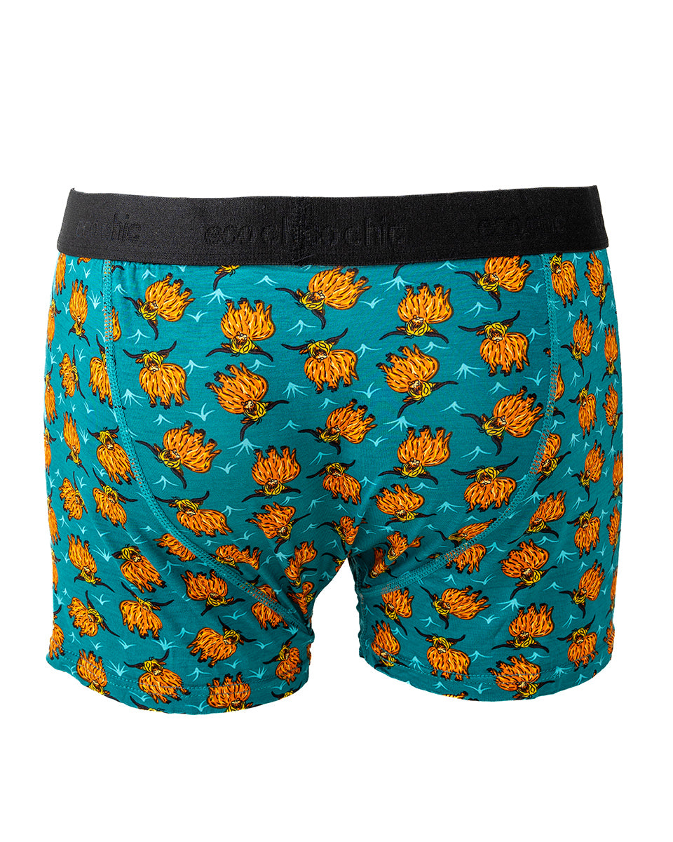 Eco-Chic Eco Friendly Men's Bamboo Boxers Highland Cow