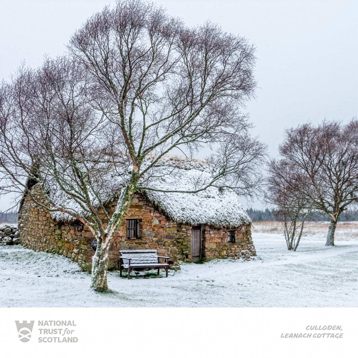 Culloden stone cottage with a thatched roof in a snowy landscape, featuring bare trees and a bench.