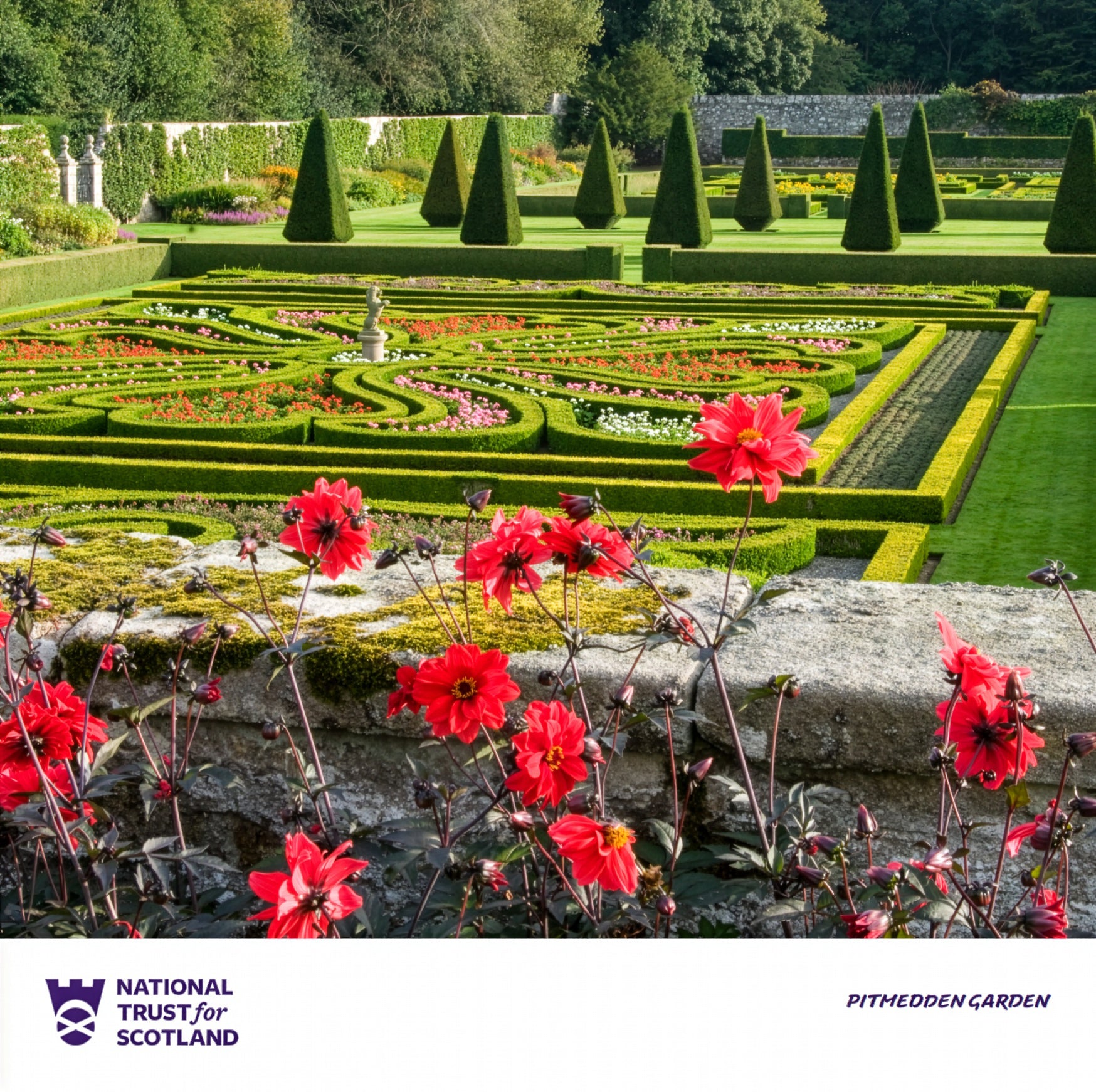 Ornate Pitmeddan garden with geometric patterns, red flowers, and a stone wall, featuring the National Trust for Scotland logo.
