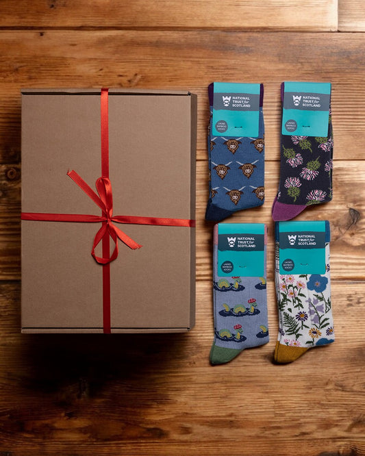 Ladies Socks Gift Box