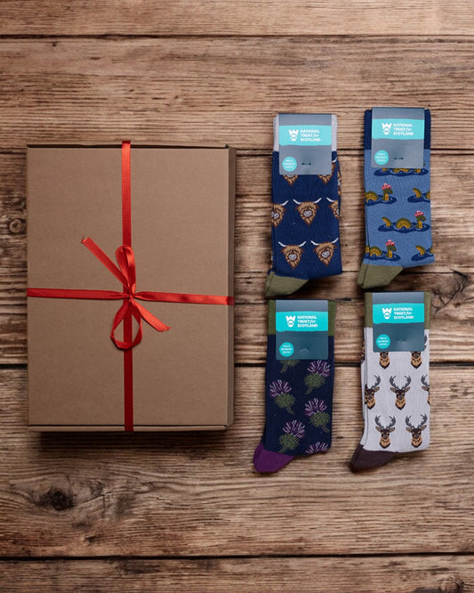 Mens Socks Gift Box