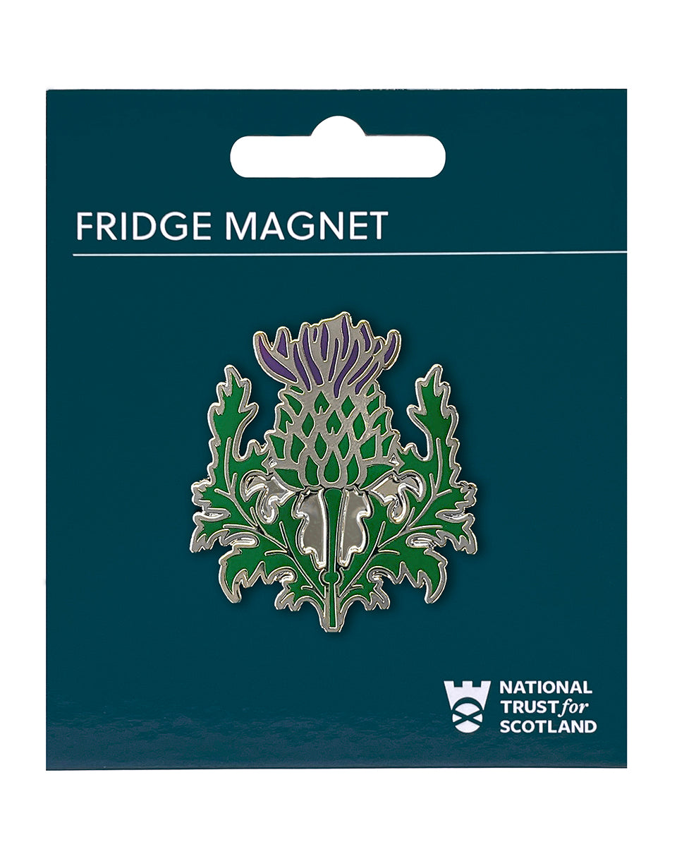 Scotland Thistle Fridge Magnet