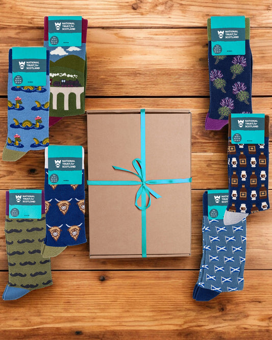 Collection of patterned socks with packaging on a wooden surface