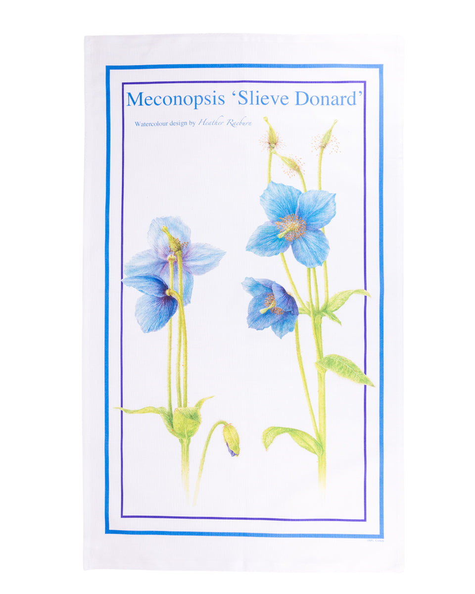 Blue Poppy Design Tea Towel - Featured design by Heather Raeburn