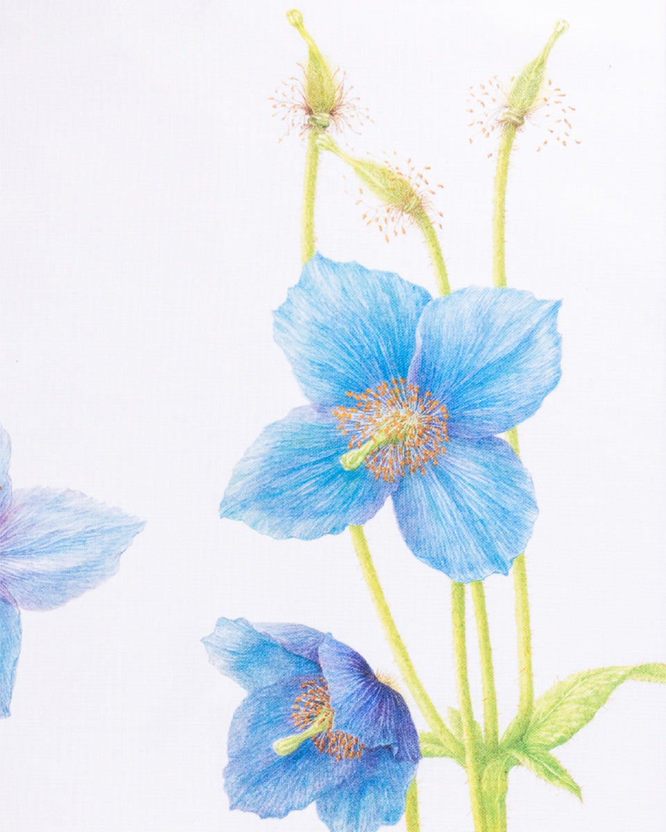 Blue Poppy Design Tea Towel - Featured design by Heather Raeburn