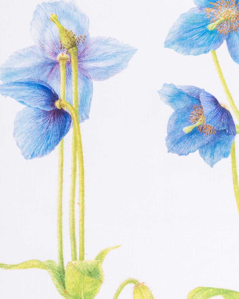 Blue Poppy Design Tea Towel - Featured design by Heather Raeburn