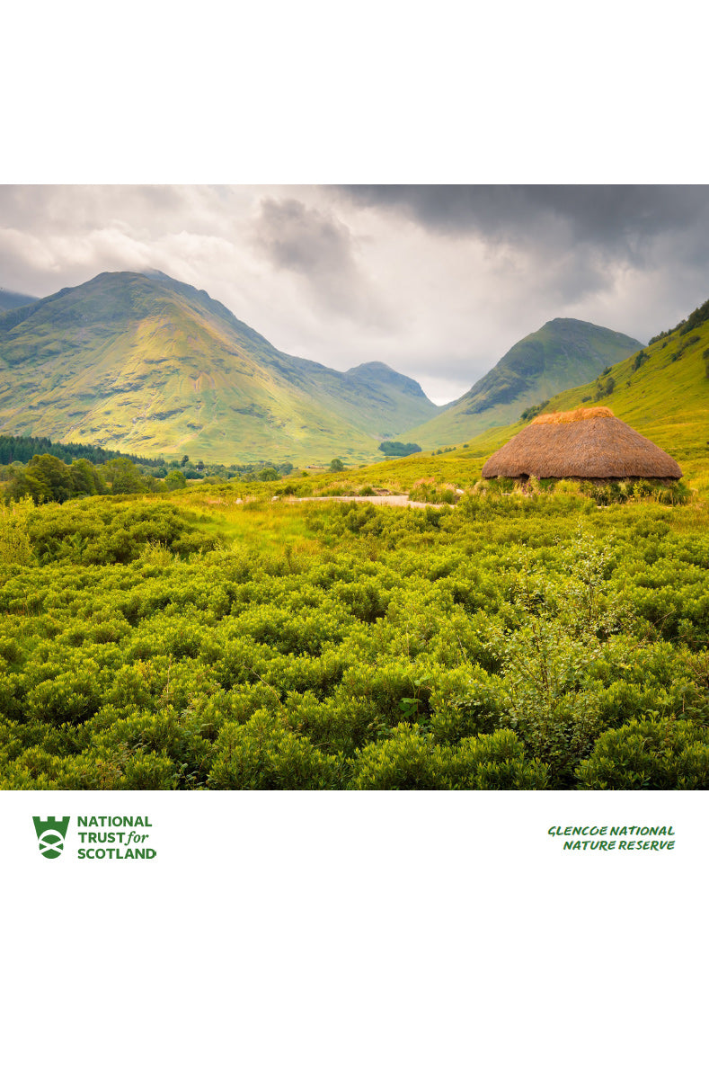 National Trust for Scotland 2025 Calendar