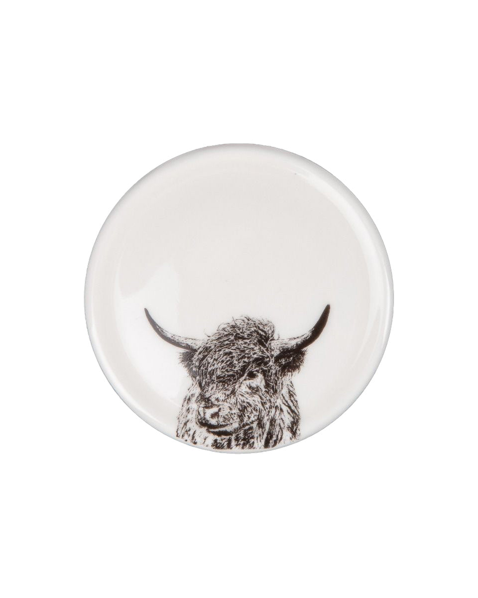 Curious Coo Fine Bone China Coaster