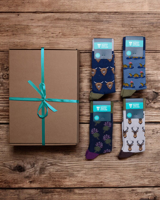 Men's Socks Gift Box