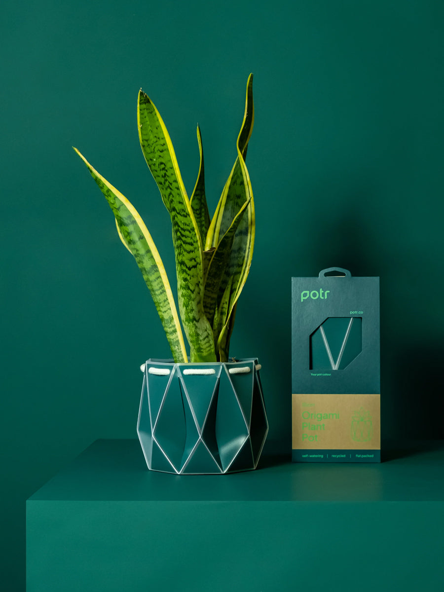 POTR Origami Plant Pots