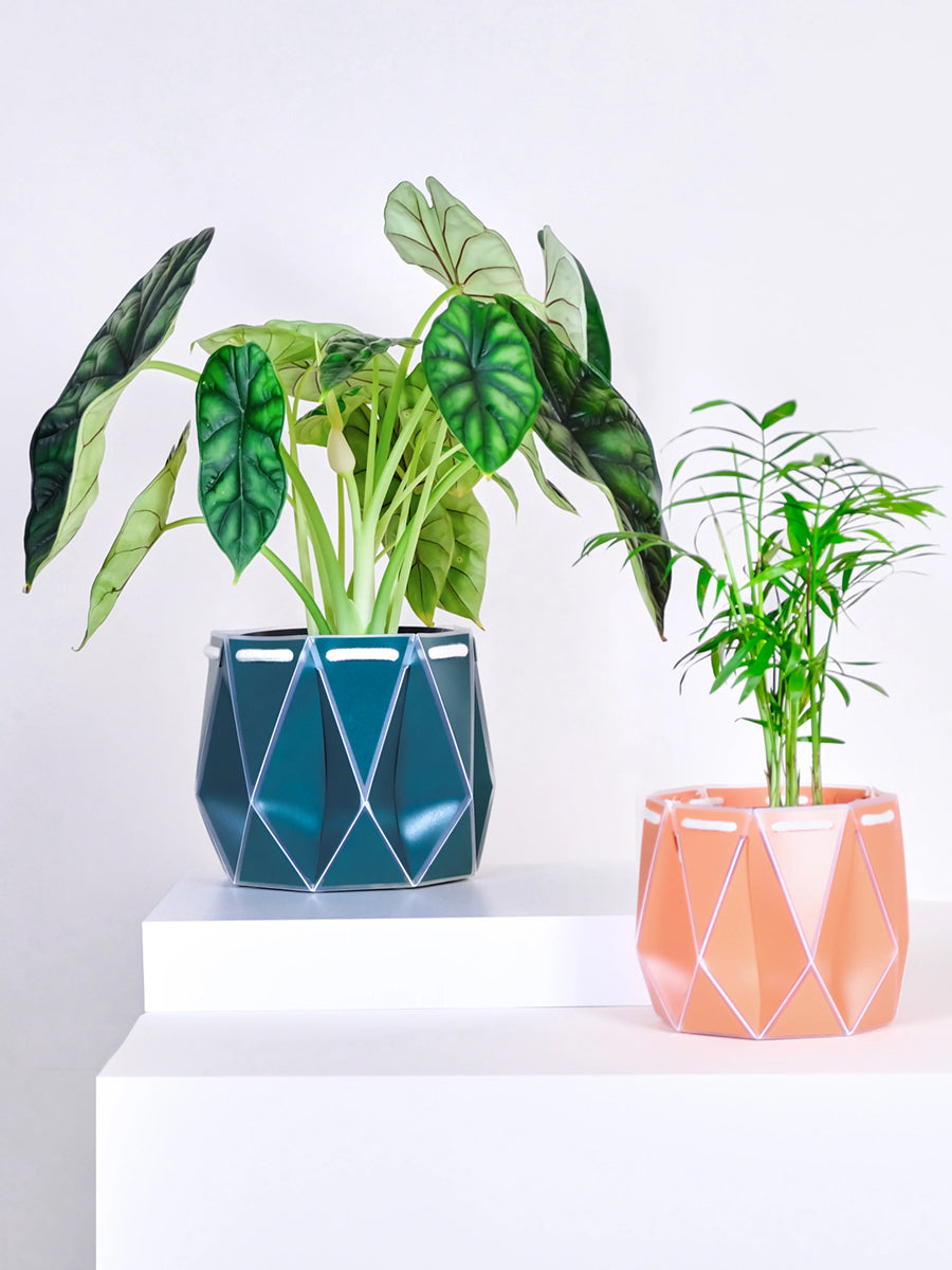 POTR Origami Plant Pots