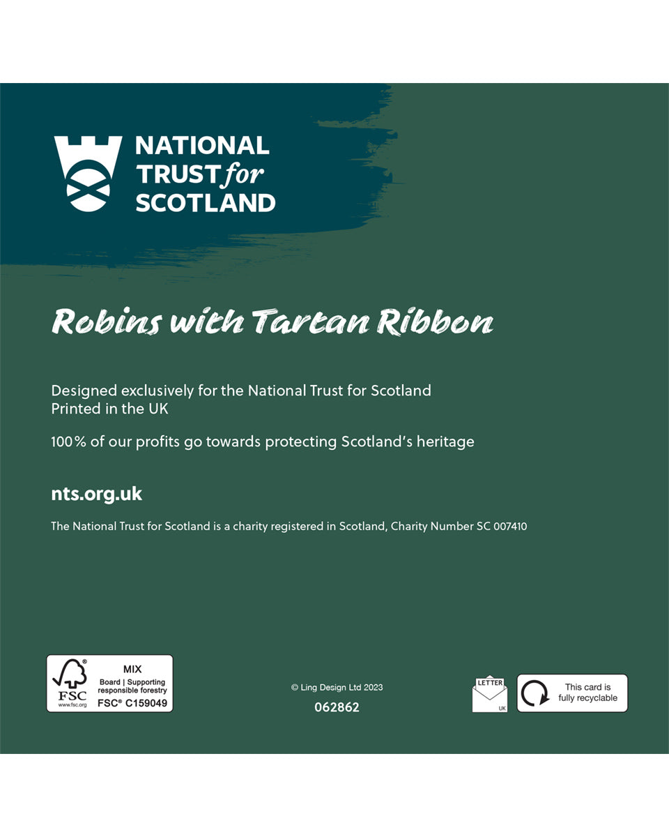 Tartan Ribbon & Robin Christmas Cards Pack of 8