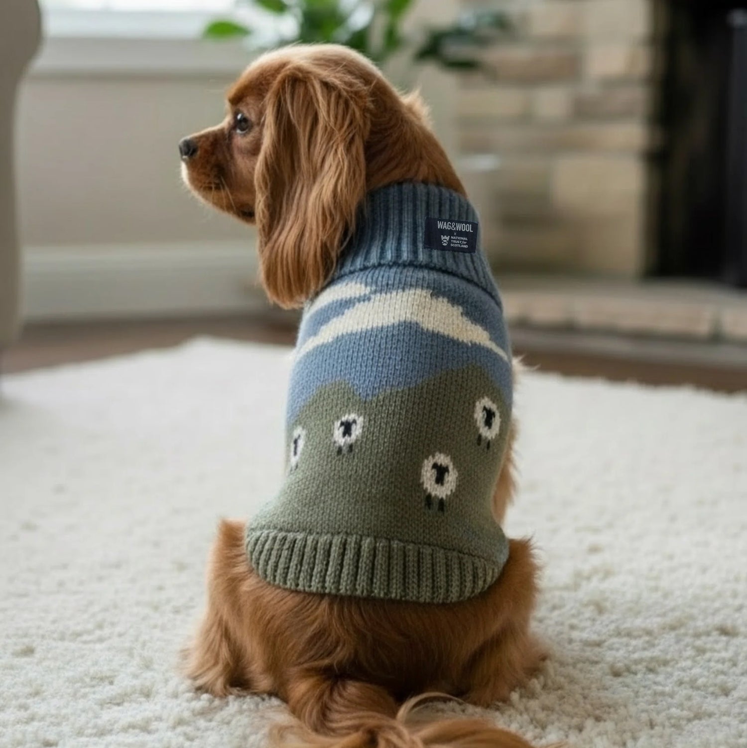 Dog wearing a sweater with a mountain design on a carpeted floor.